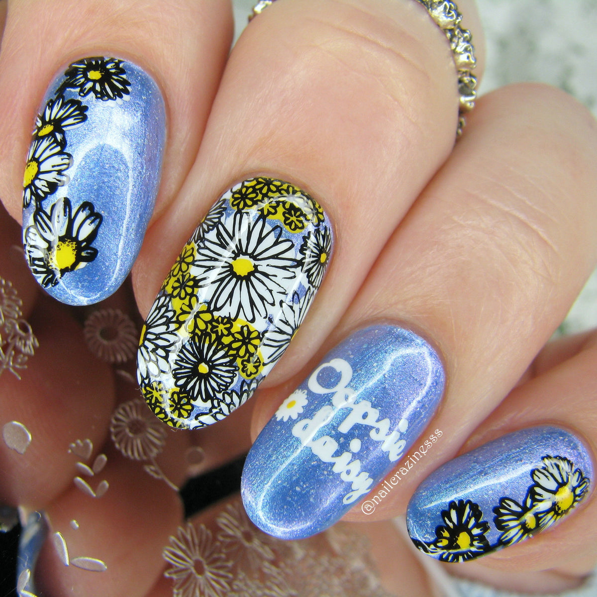 I Dream of Daisies (CjS-104) Etched Nail Art Stamping Plate