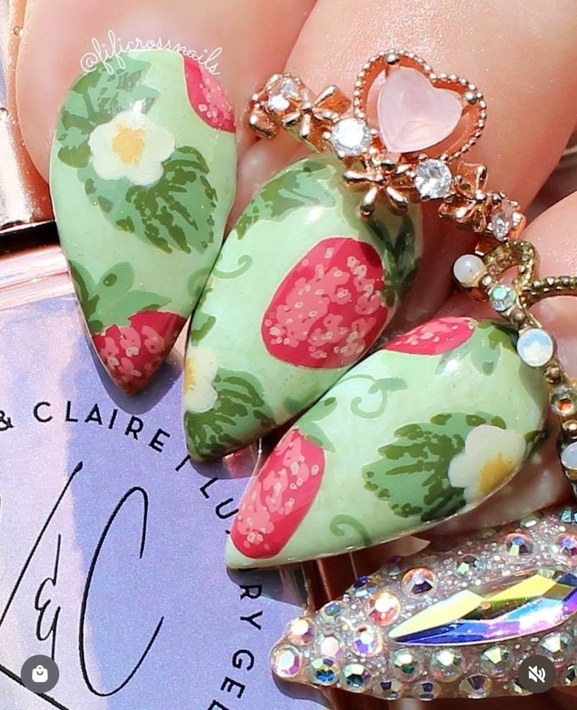 Strawberry Sweetness (CjS-351) Etched Nail Art Stamping Plate