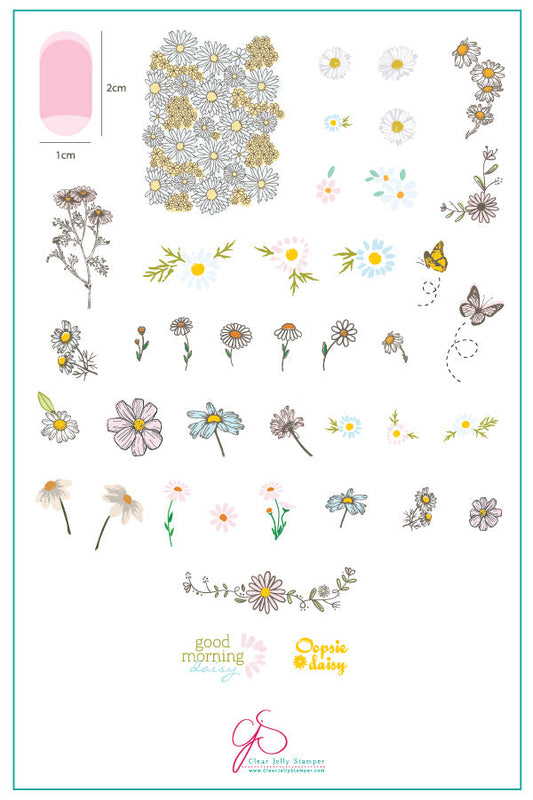 I Dream of Daisies (CjS-104) Etched Nail Art Stamping Plate
