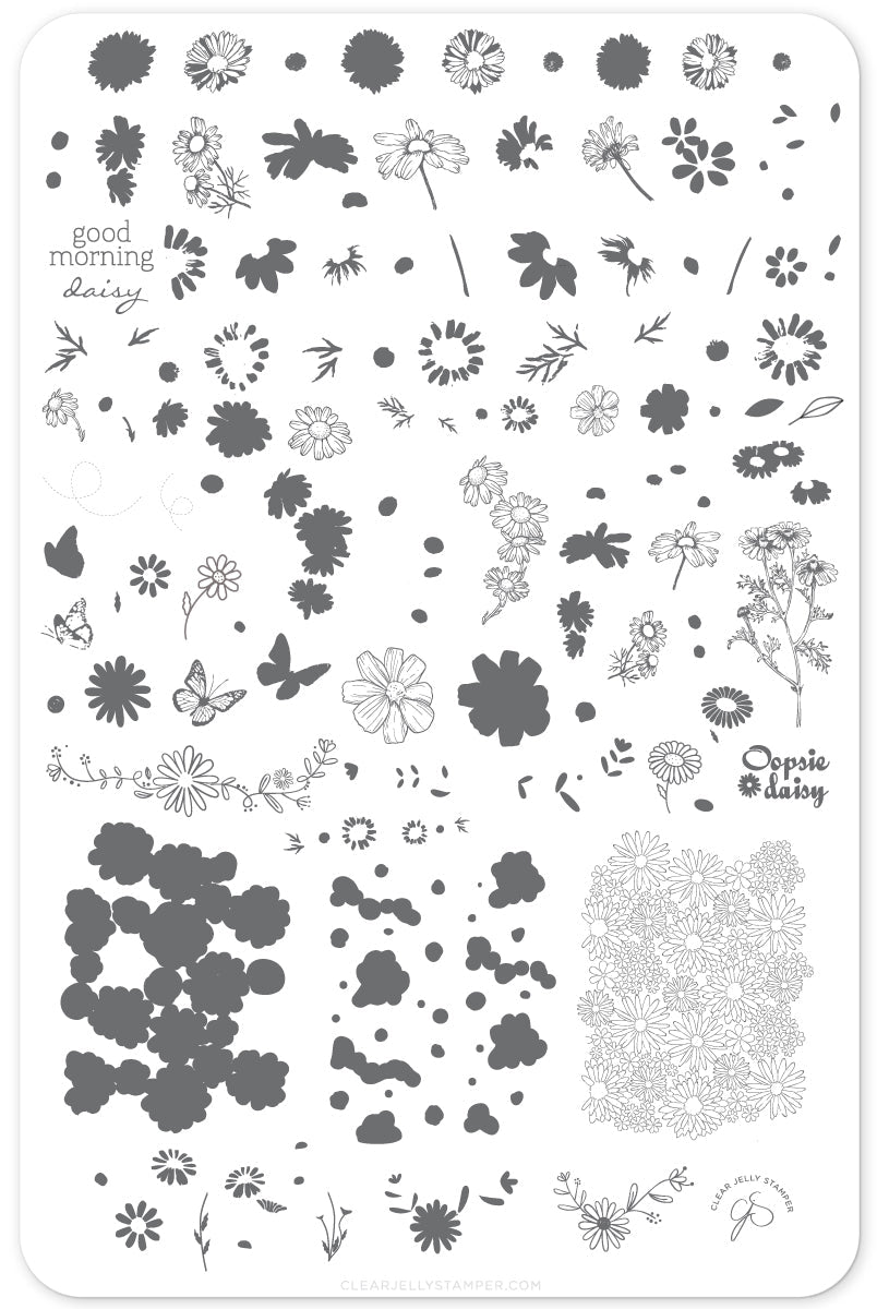 I Dream of Daisies (CjS-104) Etched Nail Art Stamping Plate