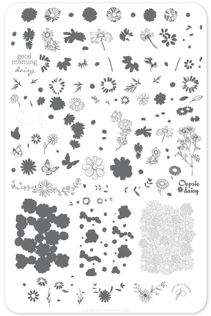 I Dream of Daisies (CjS-104) Etched Nail Art Stamping Plate