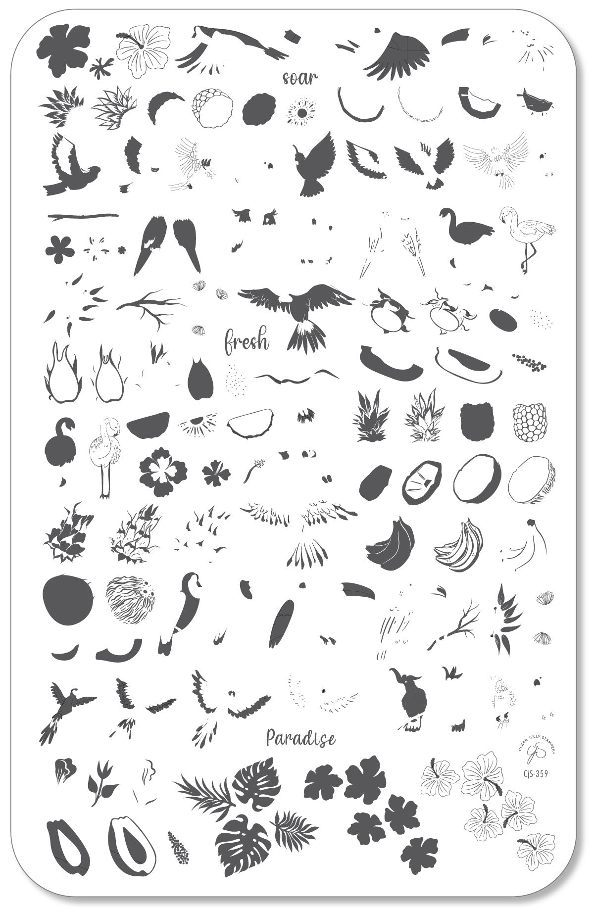 Tropical Paradise (CjS-359) Etched Nail Art Stamping Plate
