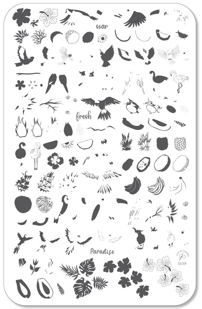 Tropical Paradise (CjS-359) Etched Nail Art Stamping Plate
