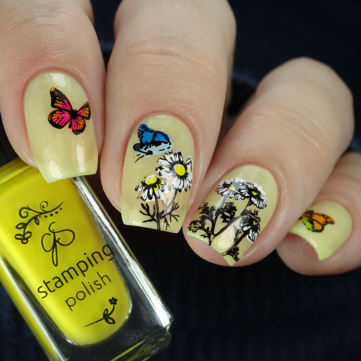 I Dream of Daisies (CjS-104) Etched Nail Art Stamping Plate