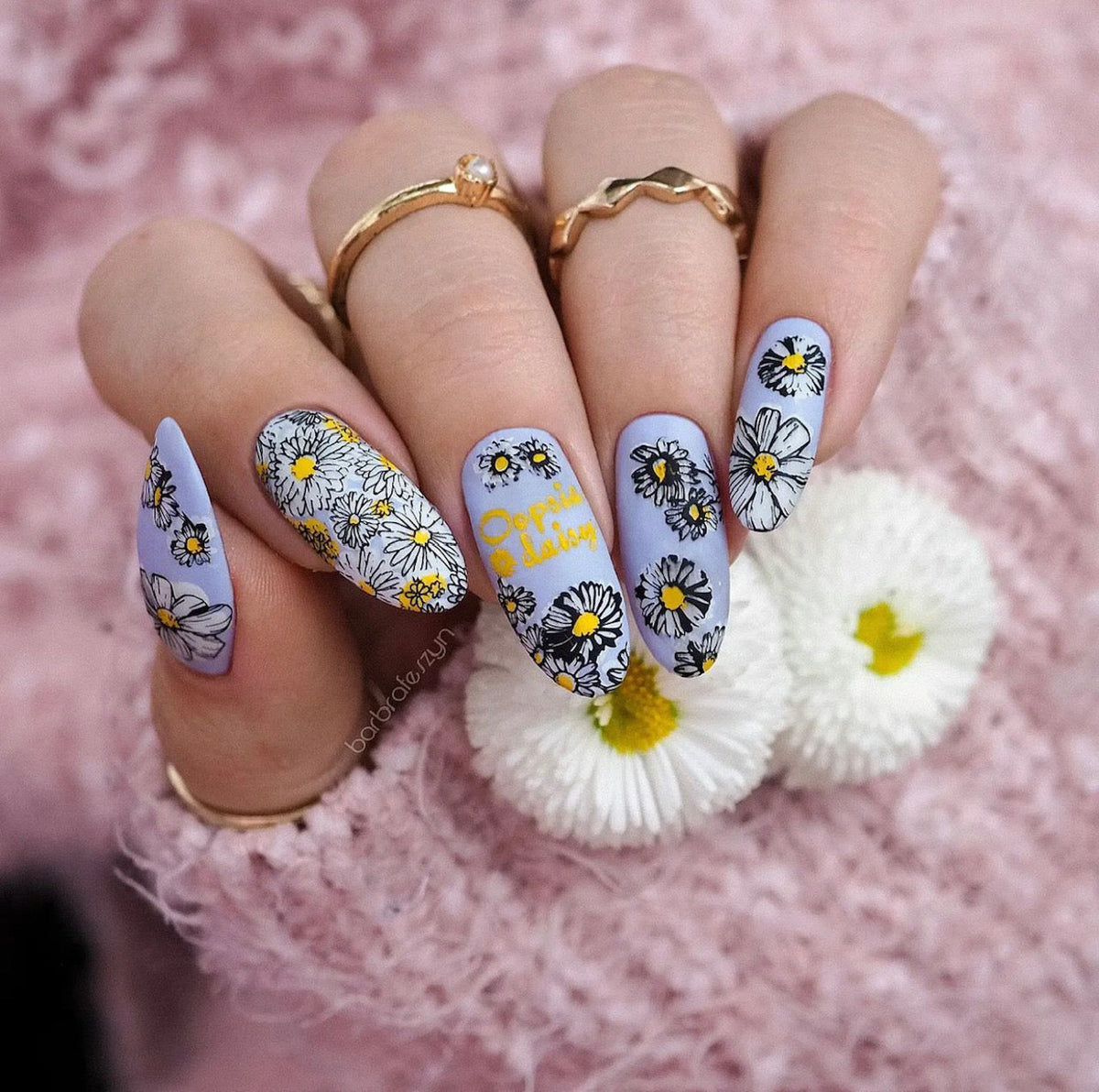 I Dream of Daisies (CjS-104) Etched Nail Art Stamping Plate