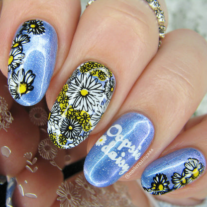 I Dream of Daisies (CjS-104) Etched Nail Art Stamping Plate