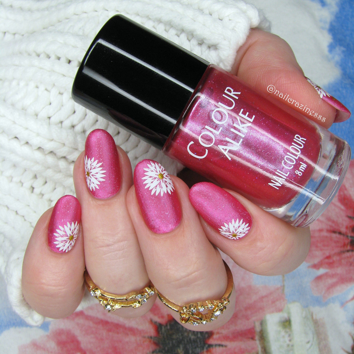I Dream of Daisies (CjS-104) Etched Nail Art Stamping Plate