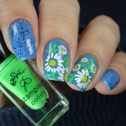I Dream of Daisies (CjS-104) Etched Nail Art Stamping Plate