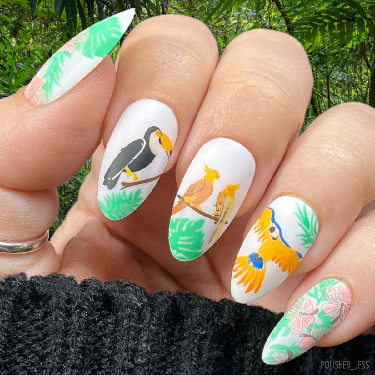 Tropical Paradise (CjS-359) Etched Nail Art Stamping Plate