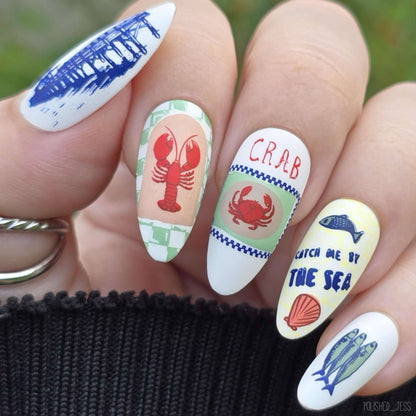 Catch Me by the Sea (CjS-380) Etched Nail Art Stamping Plate