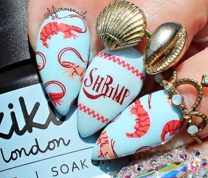 Catch Me by the Sea (CjS-380) Etched Nail Art Stamping Plate