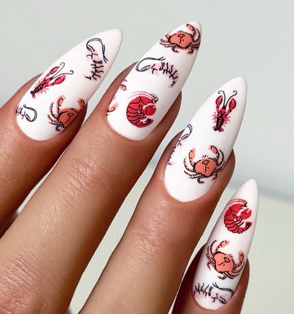 Catch Me by the Sea (CjS-380) Etched Nail Art Stamping Plate