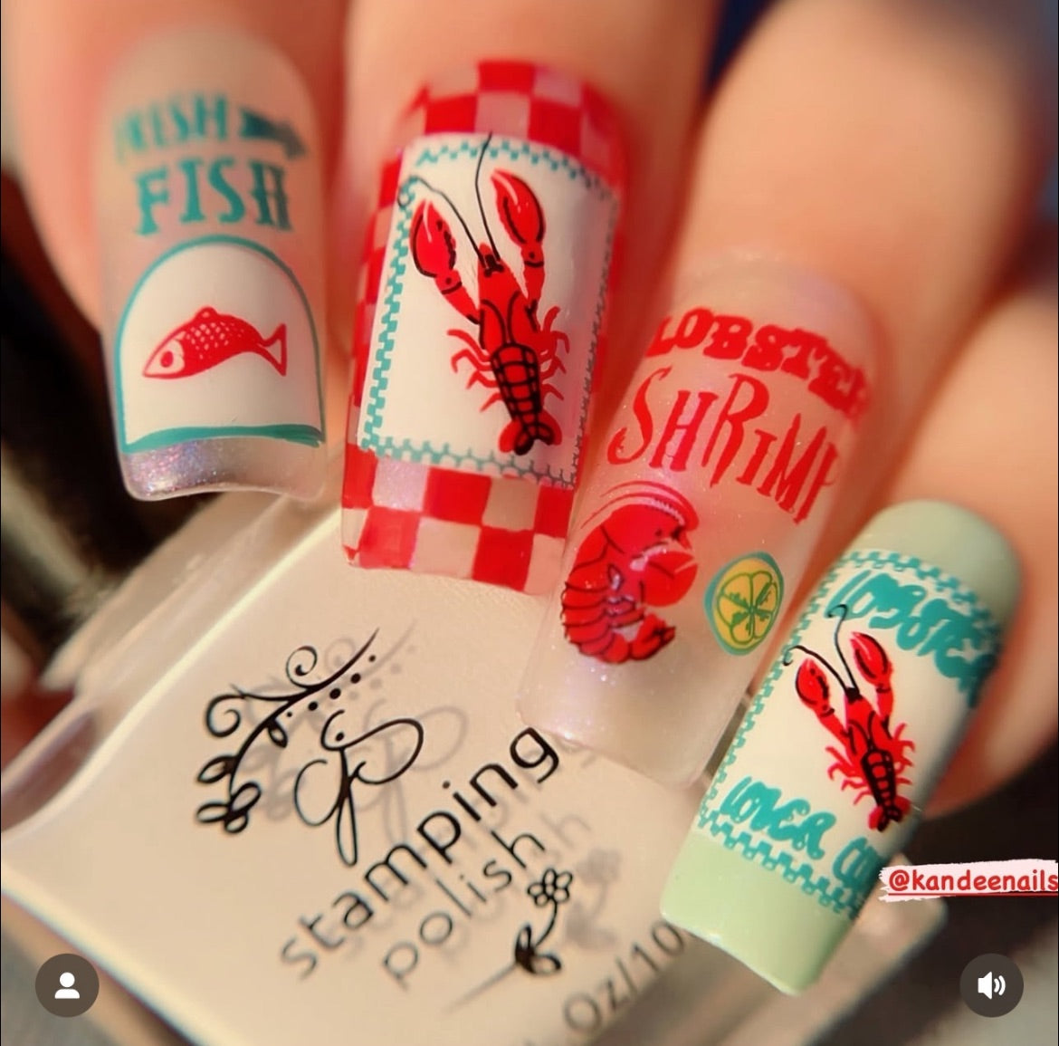 Catch Me by the Sea (CjS-380) Etched Nail Art Stamping Plate