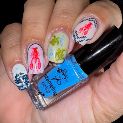 Catch Me by the Sea (CjS-380) Etched Nail Art Stamping Plate