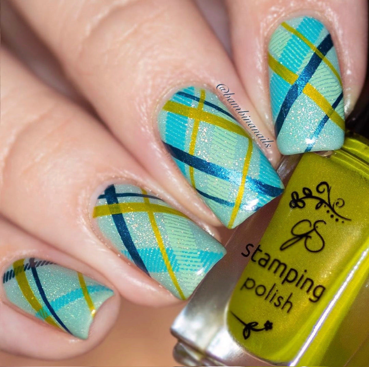 Got Plaid? (CjS-56) Etched Nail Art Stamping Plate