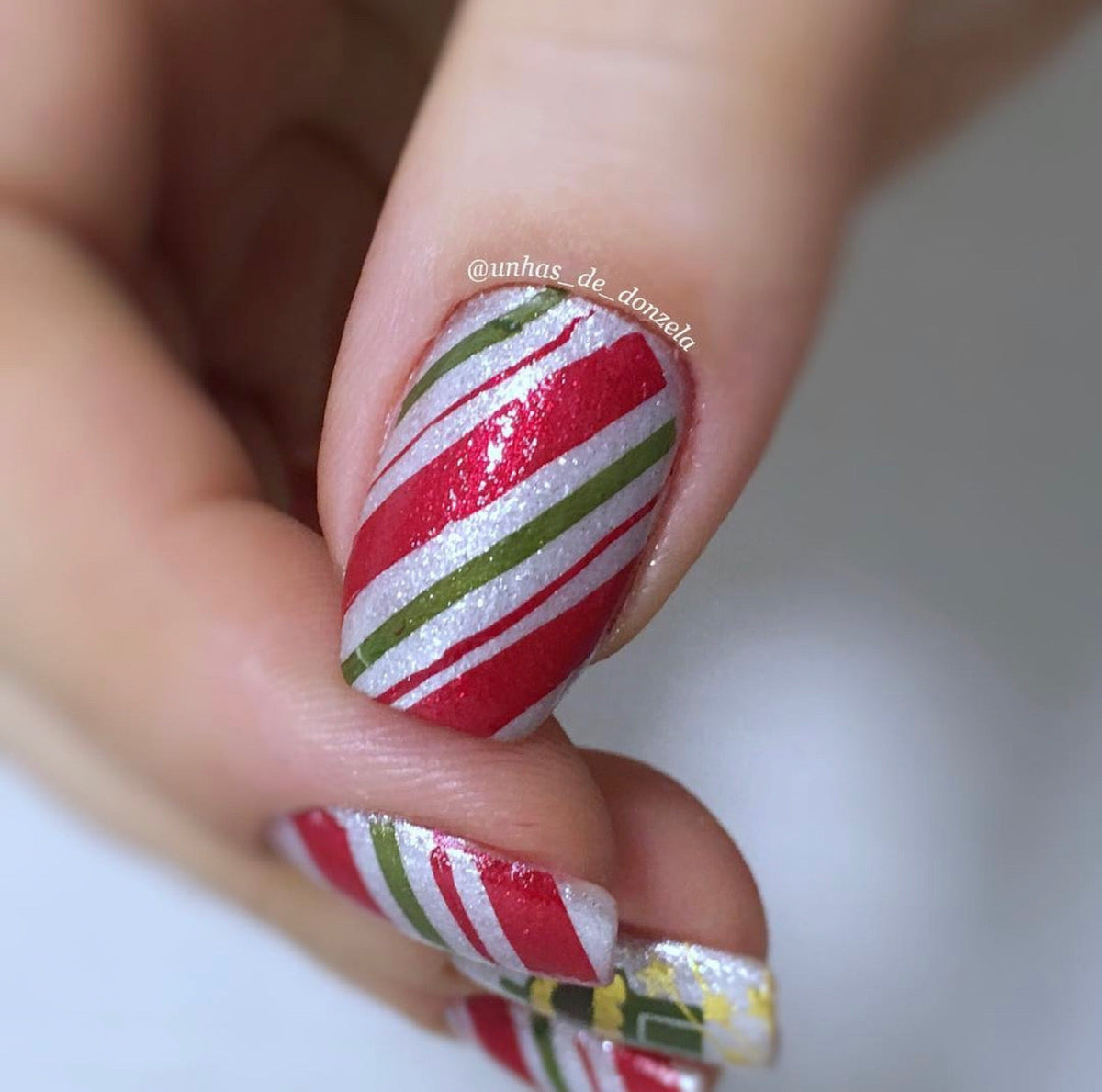 Got Plaid? (CjS-56) Etched Nail Art Stamping Plate