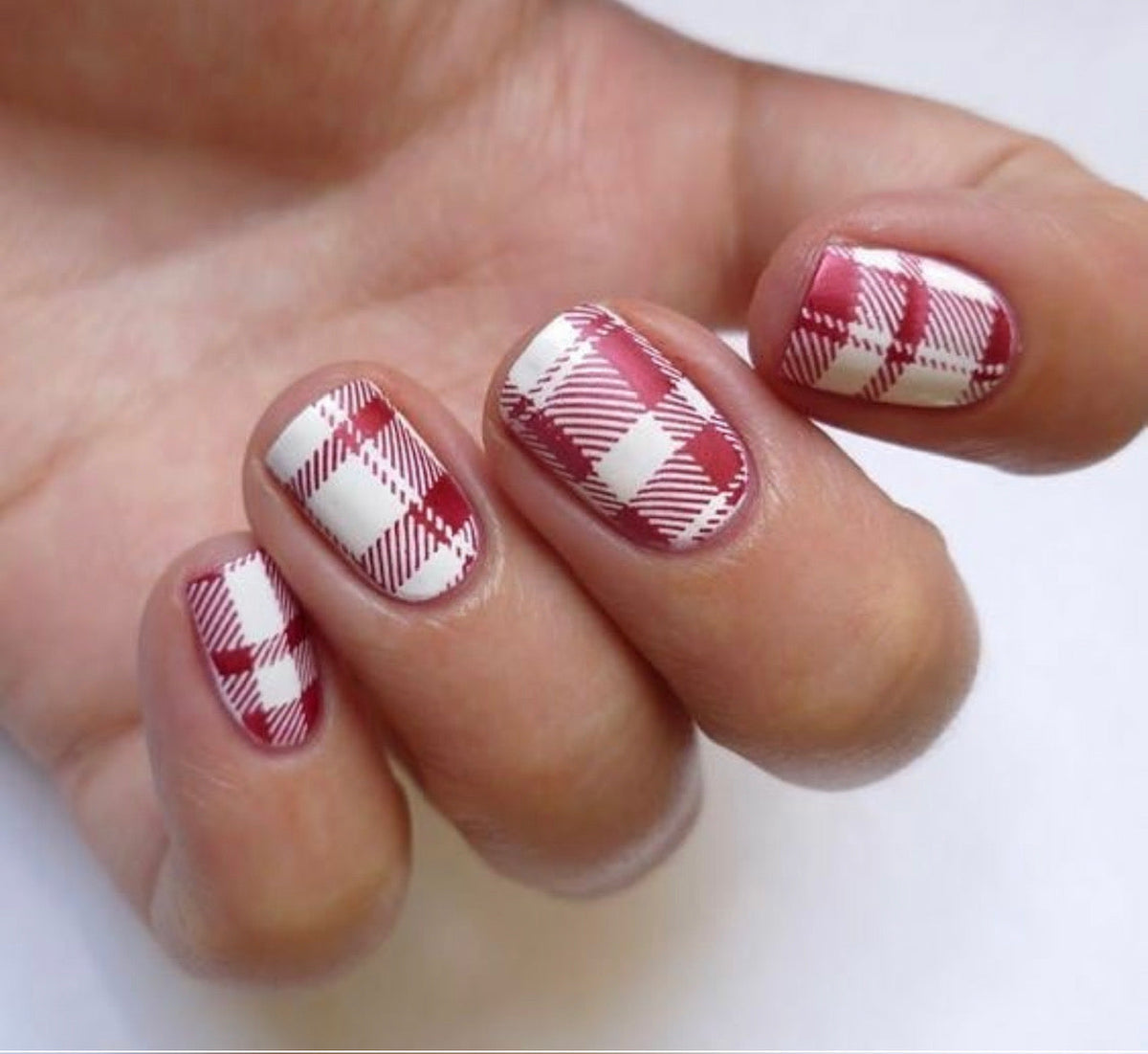 Got Plaid? (CjS-56) Etched Nail Art Stamping Plate