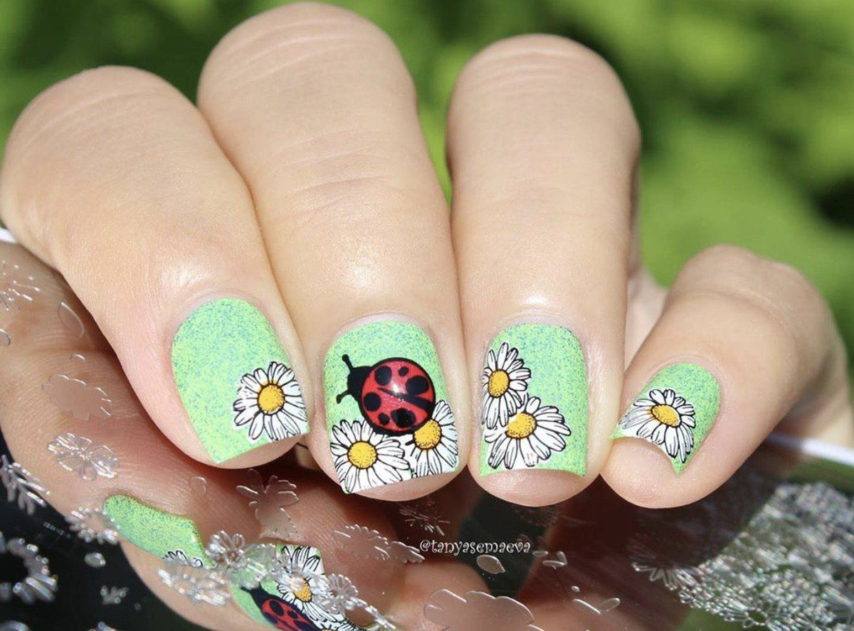 I Dream of Daisies (CjS-104) Etched Nail Art Stamping Plate