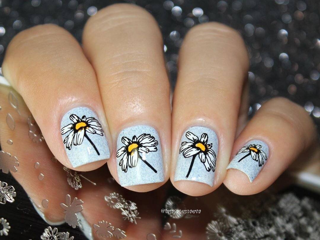 I Dream of Daisies (CjS-104) Etched Nail Art Stamping Plate