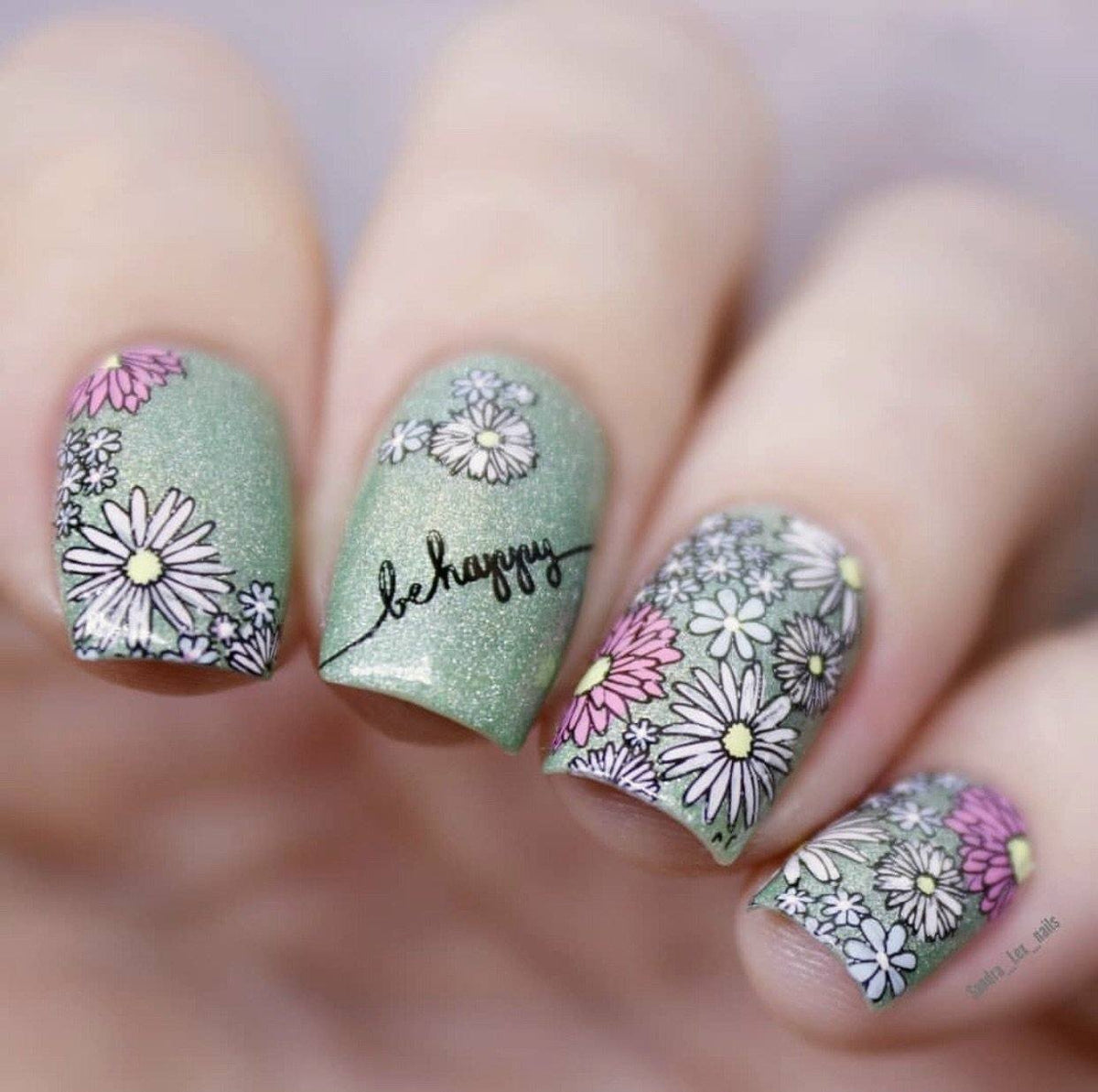 I Dream of Daisies (CjS-104) Etched Nail Art Stamping Plate