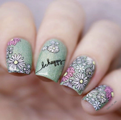 I Dream of Daisies (CjS-104) Etched Nail Art Stamping Plate