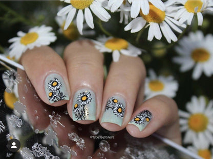 I Dream of Daisies (CjS-104) Etched Nail Art Stamping Plate