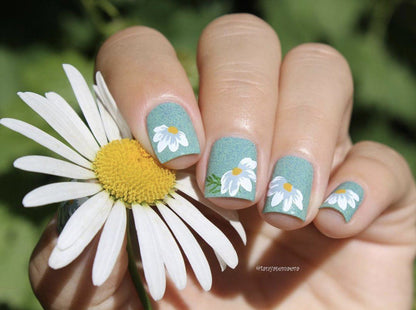 I Dream of Daisies (CjS-104) Etched Nail Art Stamping Plate