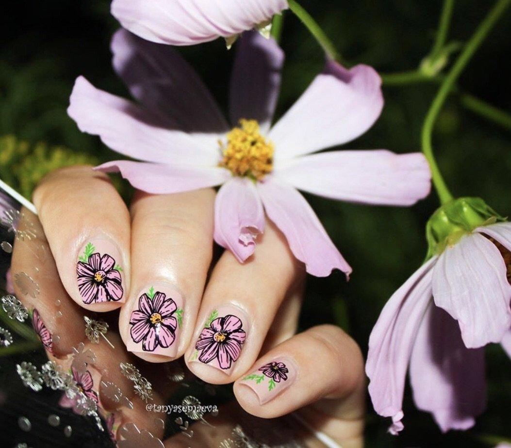 I Dream of Daisies (CjS-104) Etched Nail Art Stamping Plate